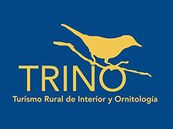 Trino
