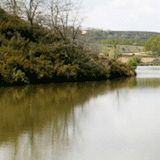 Zamora es una de las provincias que más agua tiene de España y aquí tenemos muy cerca una presa donde poder pasar un dia de pesca relajados