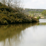 Pesca