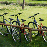Existen una variada cantidad de caminos para realizar paseos por la zona con la bici observando los diferentes paisajes que nos ofrece la naturaleza, desde carballales hasta encinares.