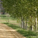 Para realizar senderismo las personas tienen a su disposici&oacute;n un sendero se&ntilde;alizado que une dos Presas importantes en la zona que son, la de Ayo&oacute; y la presa de Congosta