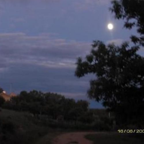 foto 90332